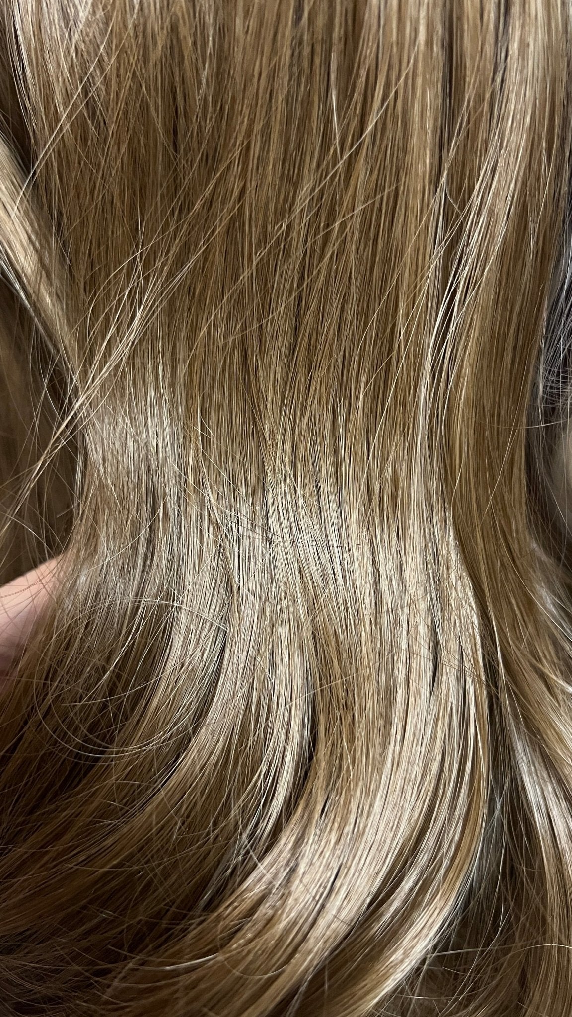 2in1 Pony - FIVE MINUTES BEAUTY